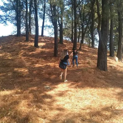 Clientes alojados en Refugio en la montaña