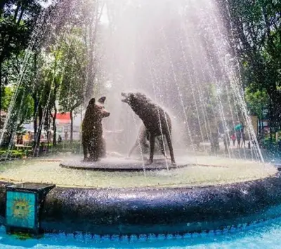 Clientes alojados en Amazing pool in the middle of the city