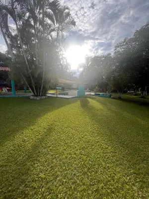 Jardín al aire libre en Exclusive paradise surrounded by nature