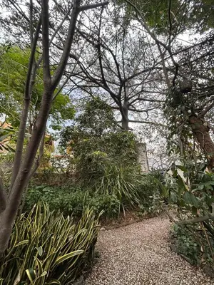 Jardín al aire libre en El Bungalow de Juana