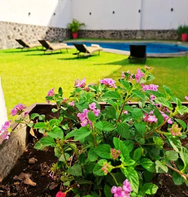 Jardín al aire libre en Casa Adonai