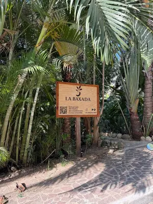 Jardín al aire libre en Green oasis across from the main street