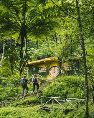 Clientes alojados en Casa Hobbit Xico