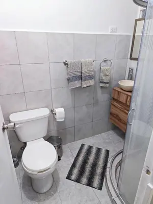 Un baño de Cozy Apartamento en Puebla!