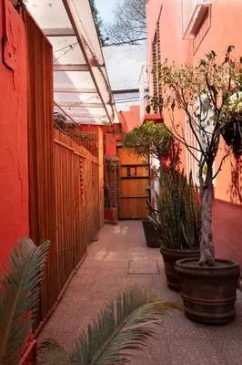 Plano de Nido Coyoacán