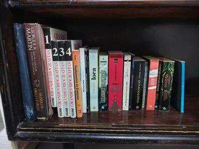 Biblioteca en el apartamento