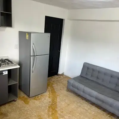 Compact downtown apartment