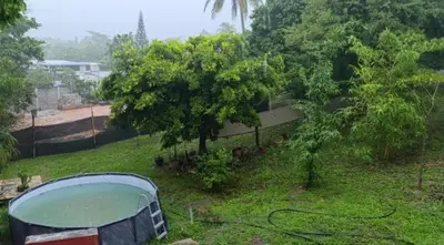 Paisaje cerca de este apartamento