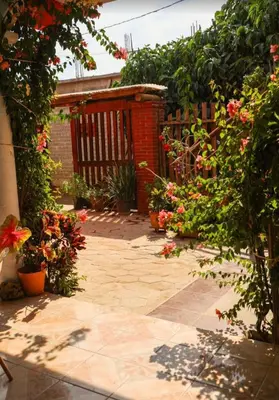 Jardín al aire libre en POSADA CENTRO MAZUNTE RINCONCITo