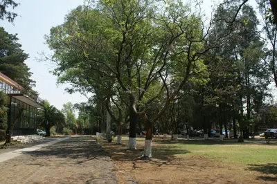 El barrio de los alrededores o un barrio cerca de este albergue
