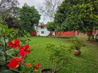 Jardín al aire libre en Hotel Los Cedros