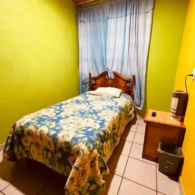 Casa Dos Arbolitos