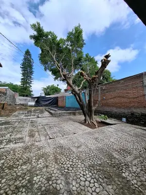 Plano de La Casa del Ciruelo!