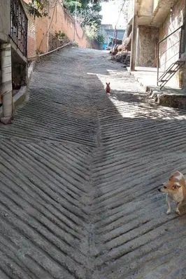 Mascotas con sus dueños en La Casa del Ciruelo!
