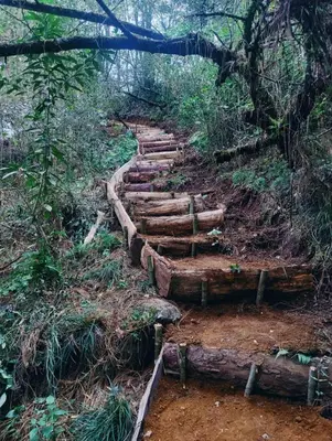 Plano de Cabaña Sendero De Las Luciernagas