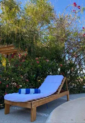 Jardín al aire libre en Luxury Beach House
