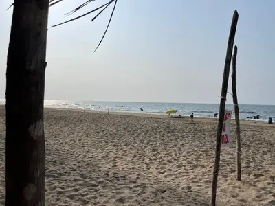 Paisaje cerca de este apartamento
