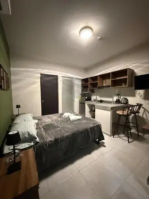 Una cocina o zona de cocina en Modern, comfortable, equipped Deluxe Suite 2