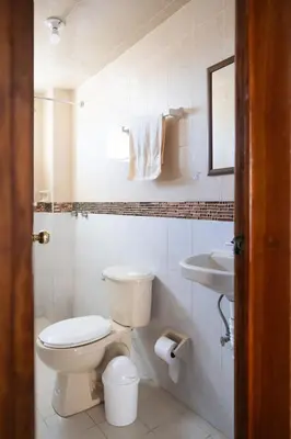 Un baño de Departamento Apan Centro