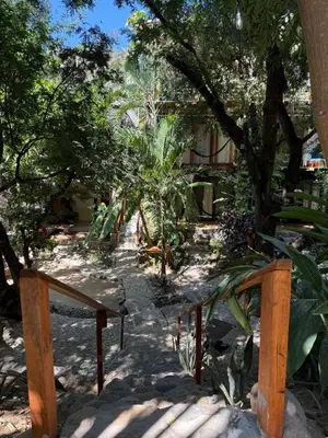 Jardín al aire libre en La baxada mazunte