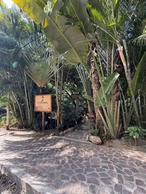 Jardín al aire libre en Loft Amplio con Vista Natural en Mazunte