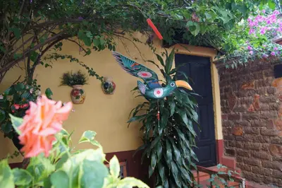 Jardín al aire libre en Oaxaca Deleite