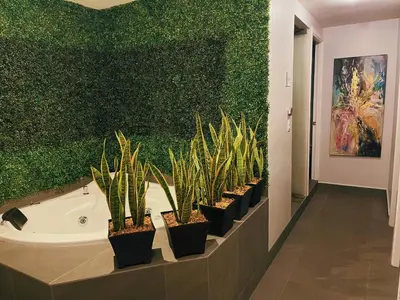 Plano de Suites Layfer, Córdoba, Veracruz, México