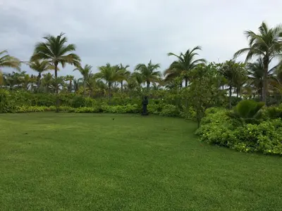 Jardín al aire libre en La Isla Gran Cayman 904