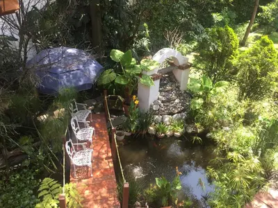 Jardín al aire libre en Villas Sol y Luna Coyoacan