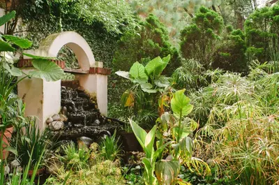 Jardín al aire libre en Villas Sol y Luna Coyoacan