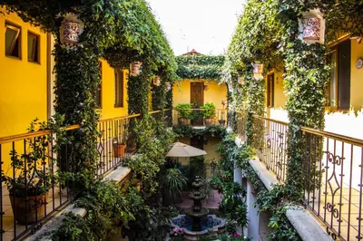 Jardín al aire libre en Hotel Dainzu