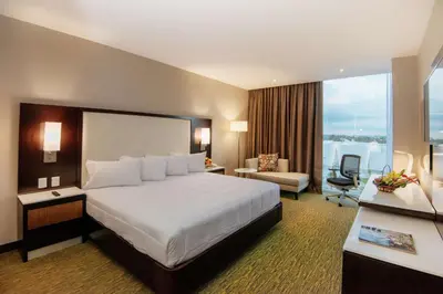Cama o camas de una habitación en Hilton Garden Inn Puebla Angelopolis