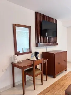 Una televisión o centro de entretenimiento en MESÓN DE LA RIVERA
