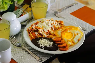 Comida en o cerca de este hotel