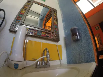 Un baño de Iguana Hostel Oaxaca