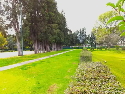 Jardín al aire libre en Villas Arqueologicas Cholula