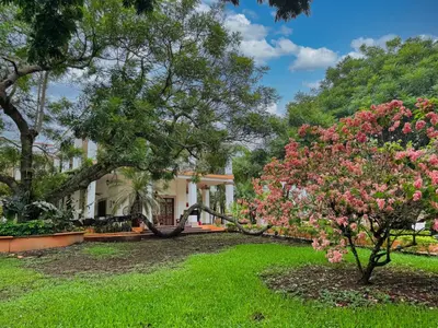 Jardín al aire libre en Finca Garullo Hotel Boutique