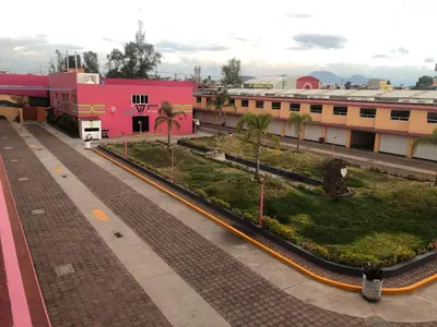 Jardín al aire libre en Hotel & Villas 7