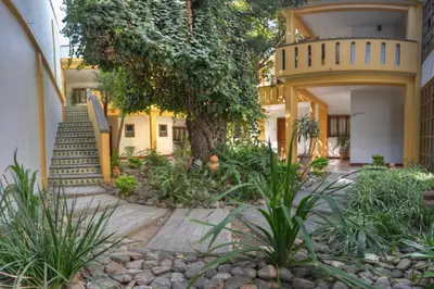 Jardín al aire libre en Hotel Posada Catarina