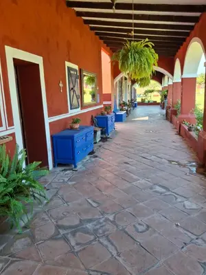 Plano de Hacienda Santa Clara, Morelos, Tenango, Jantetelco