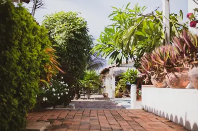 Jardín al aire libre en La Playita Beach House