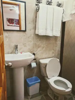 Un baño de Hacienda San Miguel