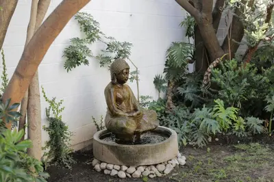 Jardín al aire libre en Coyoacan City Lofts