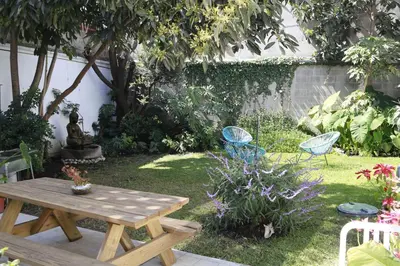Jardín al aire libre en Coyoacan City Lofts