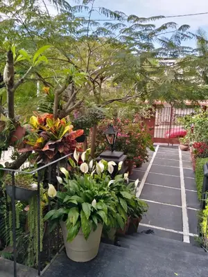 Jardín al aire libre en Gal - Habitaciones Confortables