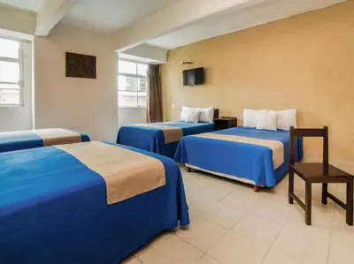 Cama o camas de una habitación en Hotel Trianon