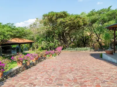 Jardín al aire libre en Hotel Amate del Rio