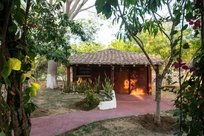 Jardín al aire libre en Casa Paraiso Hotel Boutique