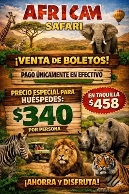 Animales en el hotel o alrededores