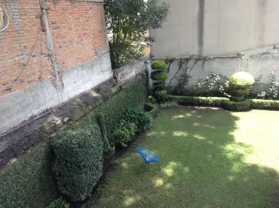 Jardín al aire libre en Hostal Centro de Coyoacan